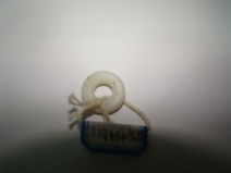 白玉环