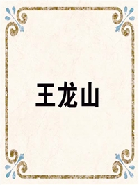 王龙山