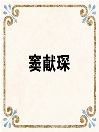 窦献琛
