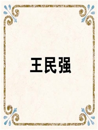 王民强
