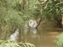永固渠